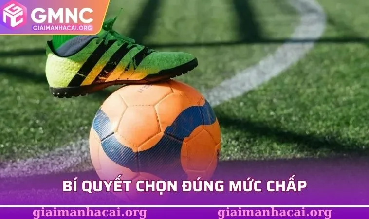 Kèo Chấp 1.75 - Cực Sốc Với Tỷ Lệ Ăn Đậm Khó Cưỡng Lại 3 Bí quyết chọn đúng mức chấp