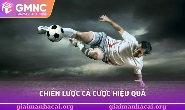 Chiến lược cá cược hiệu quả