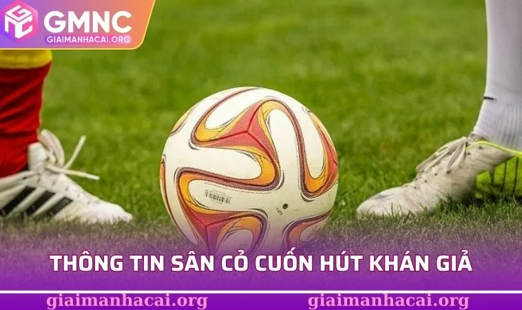 Thể loại thông tin sân cỏ cuốn hút khán giả