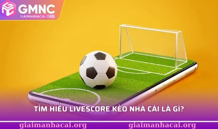 Tìm hiểu livescore kèo nhà cái là gì