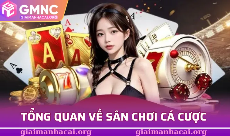 Tổng quan về sân chơi cá cược hot nhất 2025